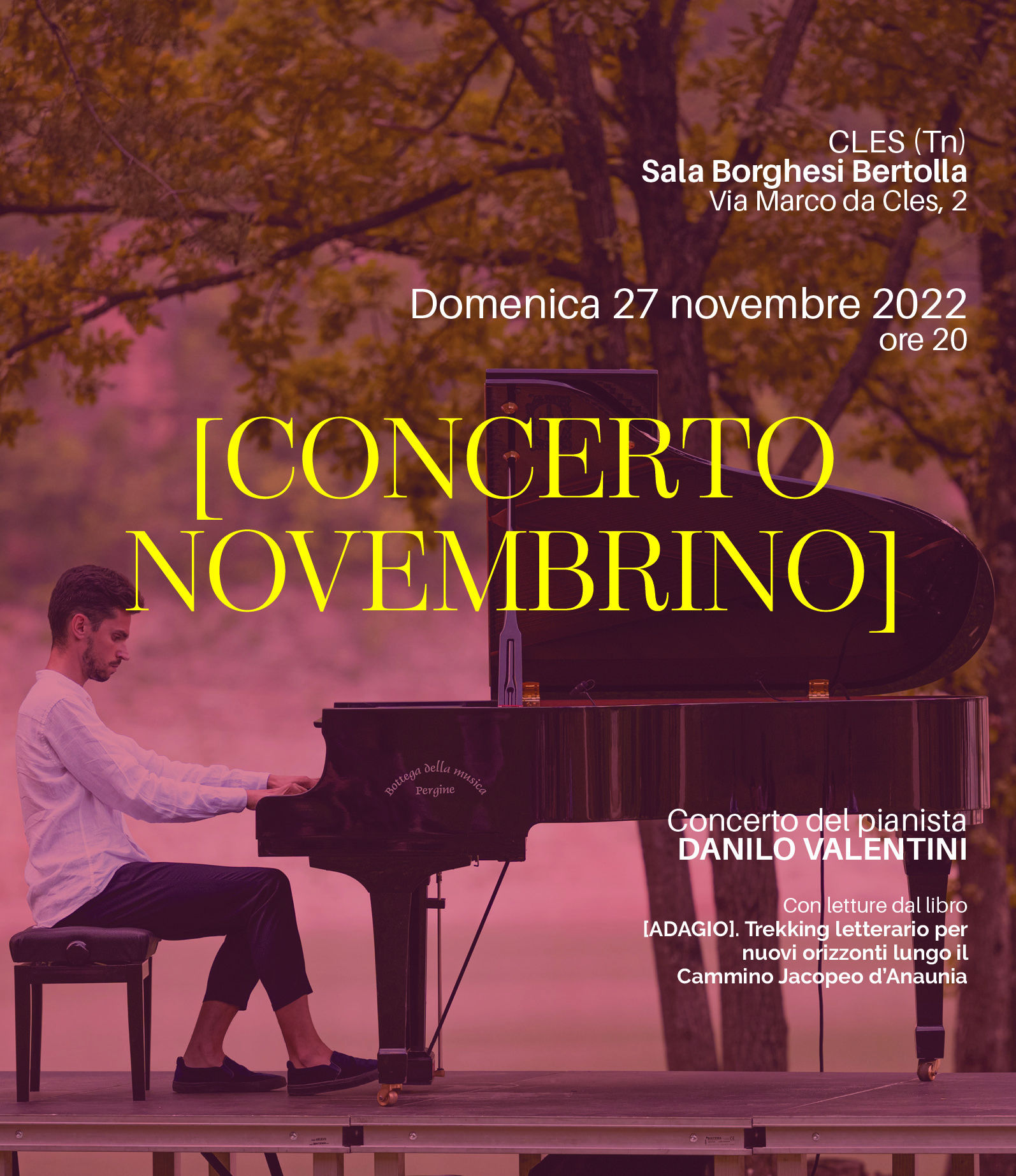 Concerto Novembrino_Immagine social verticale